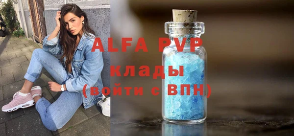 прущая мука Вяземский