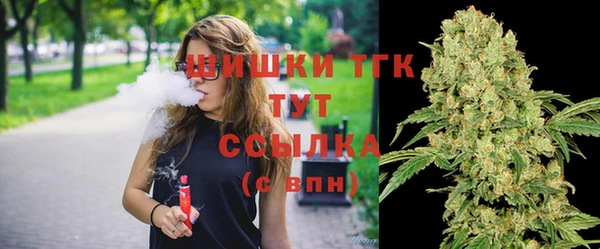 мдпв Володарск