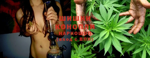 соль ск Волосово