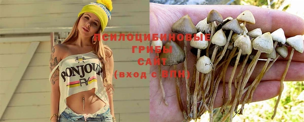 мдпв Володарск