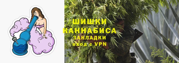 соль ск Волосово